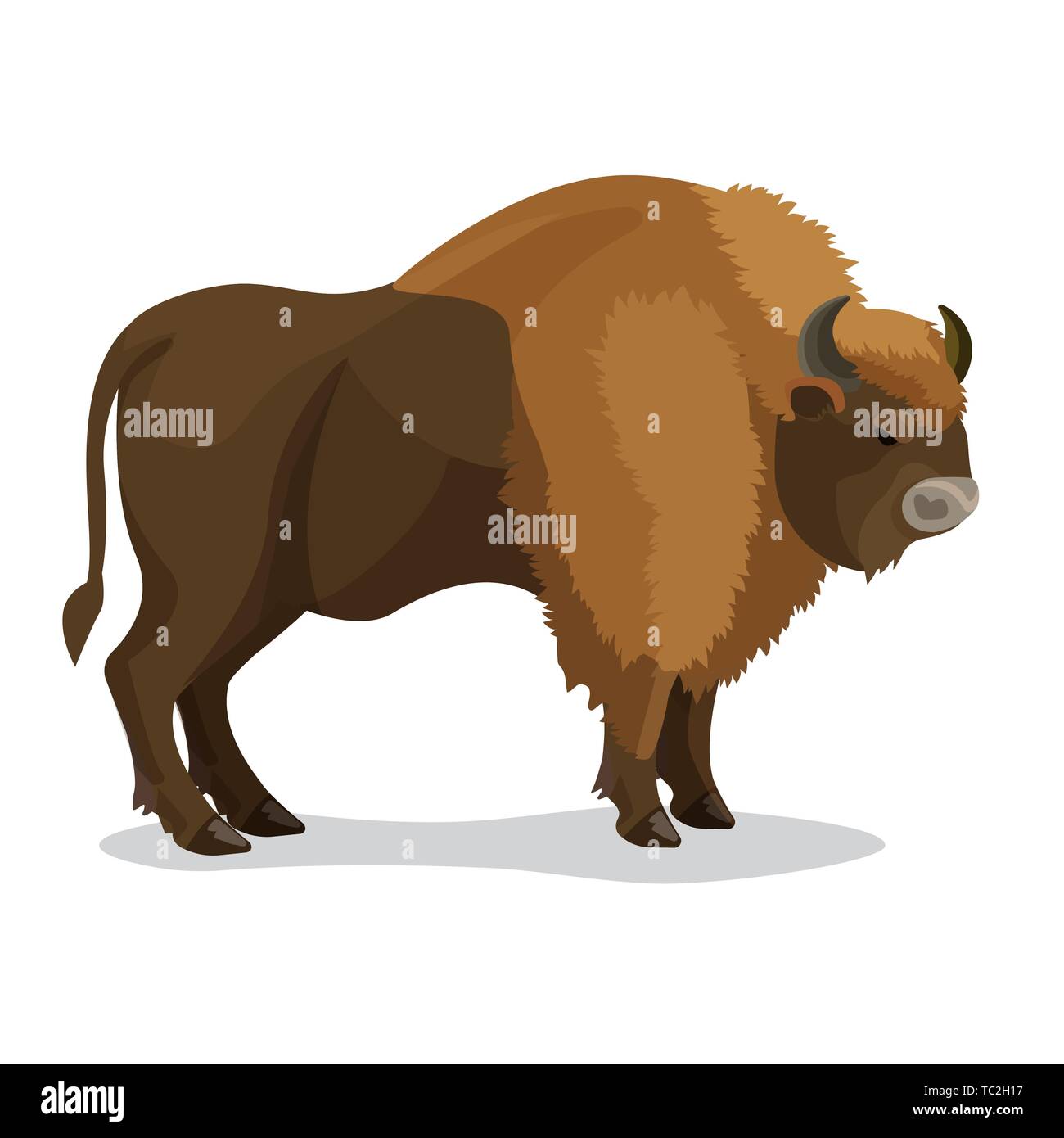 Aurochs animal in brown colour with two horns, small tail isolated on white. Vector illustration of extinct type of large wild cattle that inhabited E Stock Vector