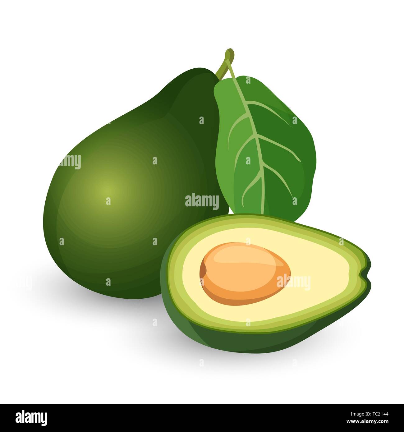 Ripe avocado cut in half with leaf vector illustration. Stock Vector