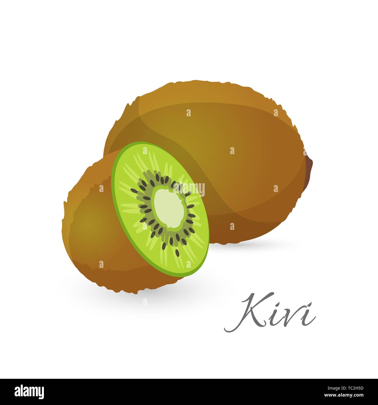 Kiwi exotic fruit whole and half. Kiwifruit gooseberry edible berry Stock Vector