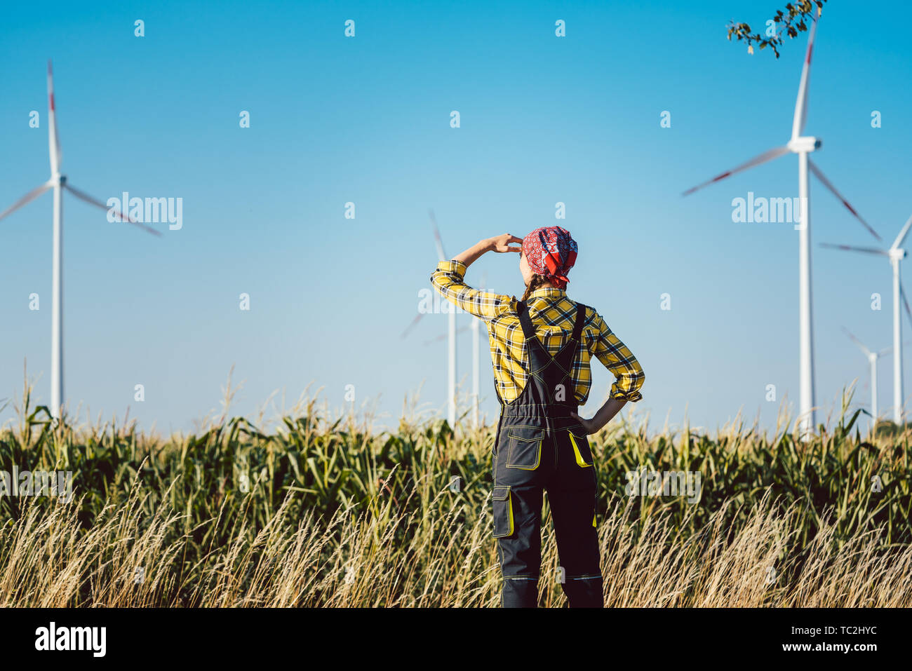 Farmer woman has invested not only in land but also wind energy Stock Photo