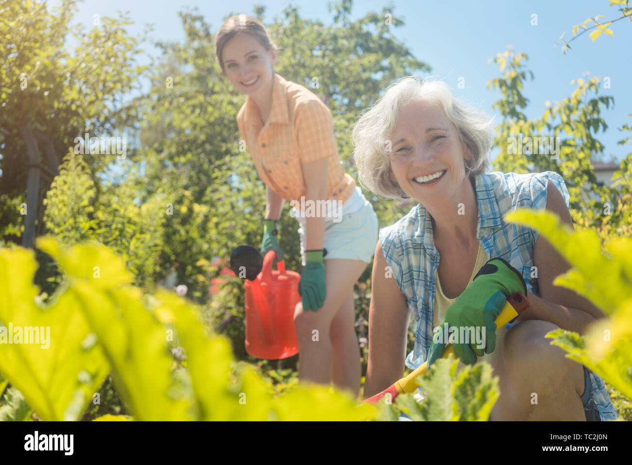 Old woman gardening hi-res stock photography and images - Alamy