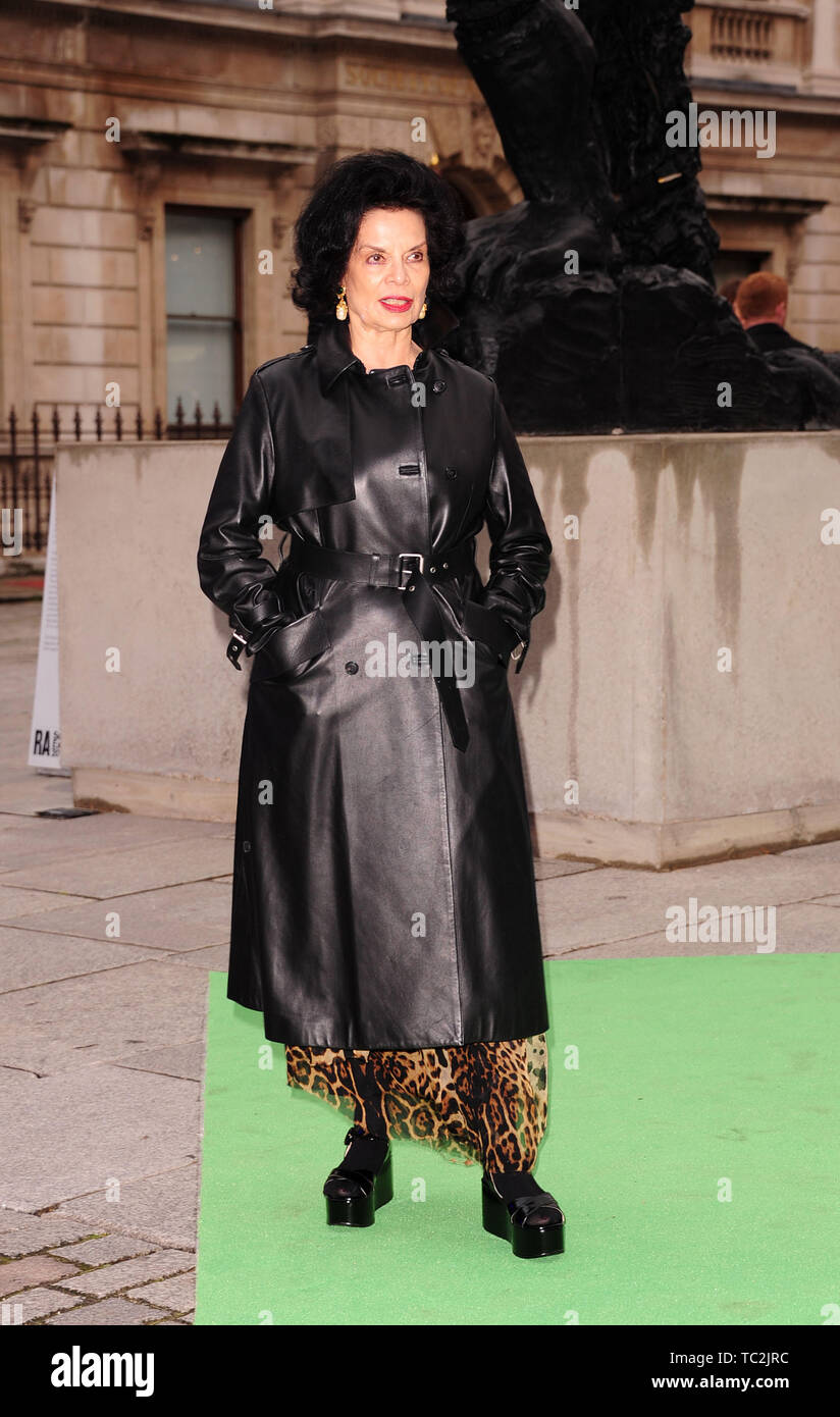 The  Royal Academy of Arts Summer Exhibition Preview Party VIP Guests  Bianca Jagger Former Model & Activist Stock Photo