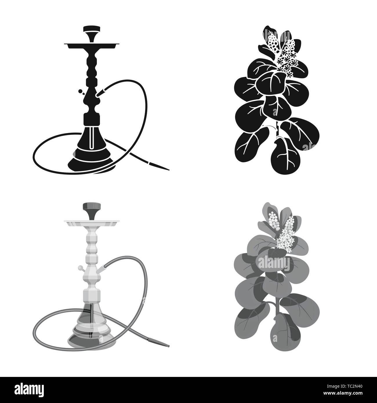 hookah,leaves,shisha,leaf,bar,agriculture,accessory,botanical,arabic ...