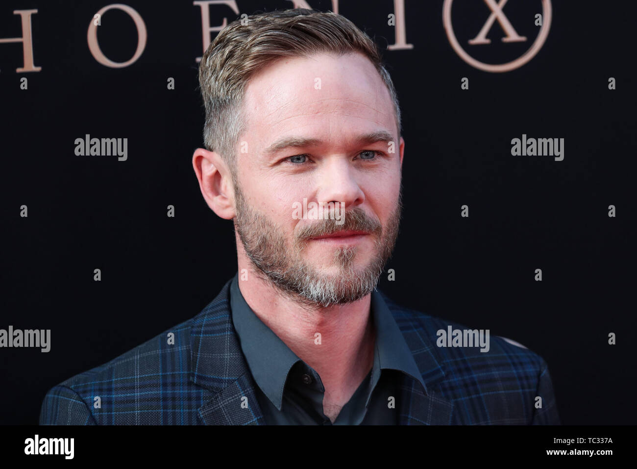 HOLLYWOOD, LOS ANGELES, CALIFORNIA, USA JUNE 04 Actor Shawn Ashmore