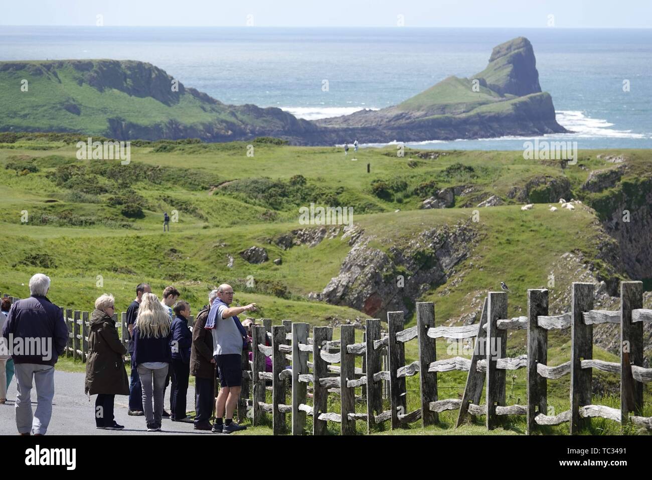 Gower, Swansea, Wales, UK. 5th June 2019. Weather A lovely sunny day