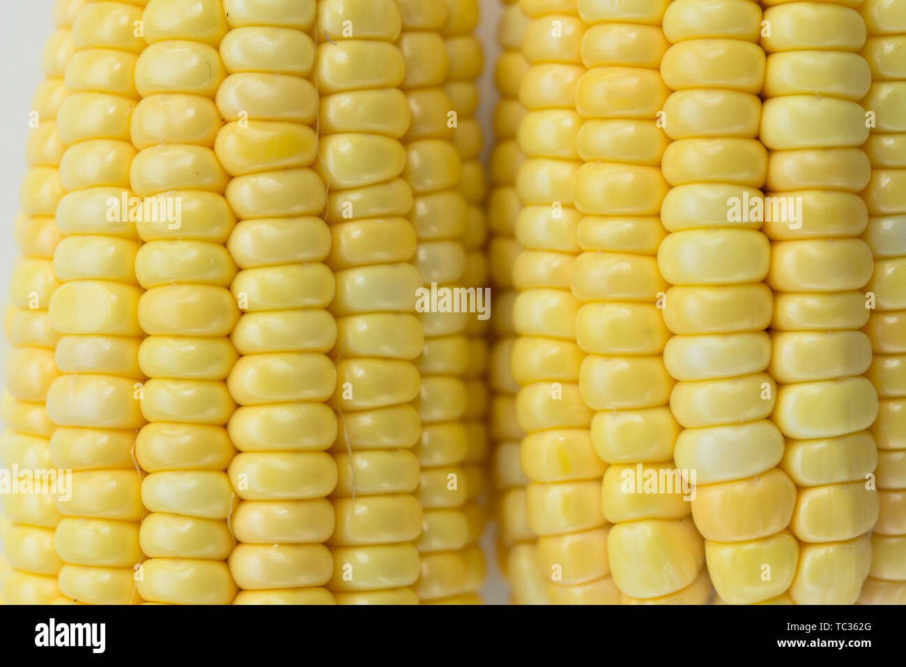 Corn Cross Section High Resolution Stock Photography and Images - Alamy