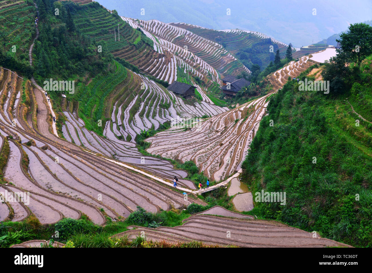 Guangxi dragon ridge terraces beautiful world Stock Photo - Alamy