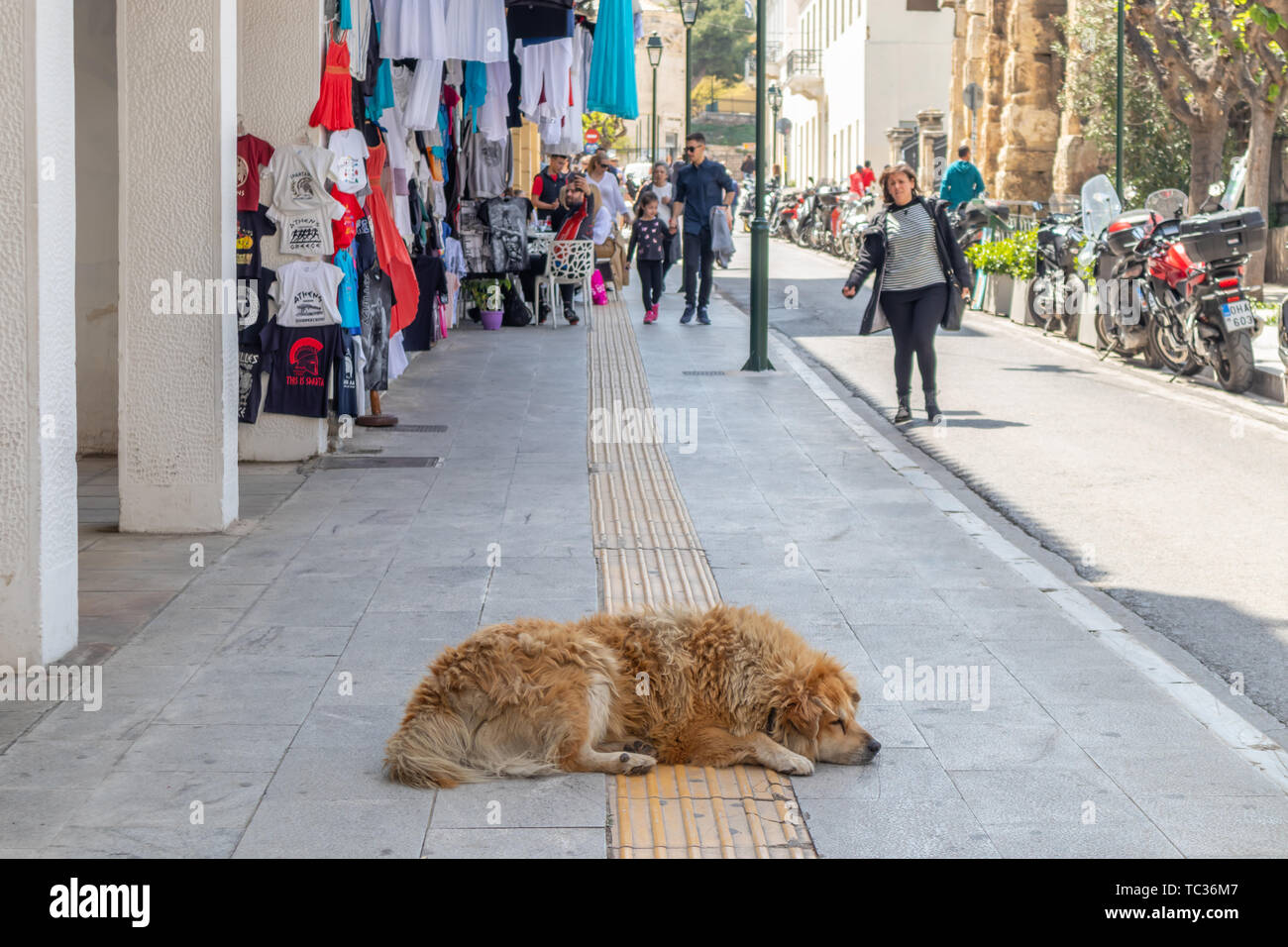 April 28, 2019. Athens, Greece. Sleeping dog. Brown abandoned animal sleeps in the middle of sidewalk. Market, people walking Stock Photo