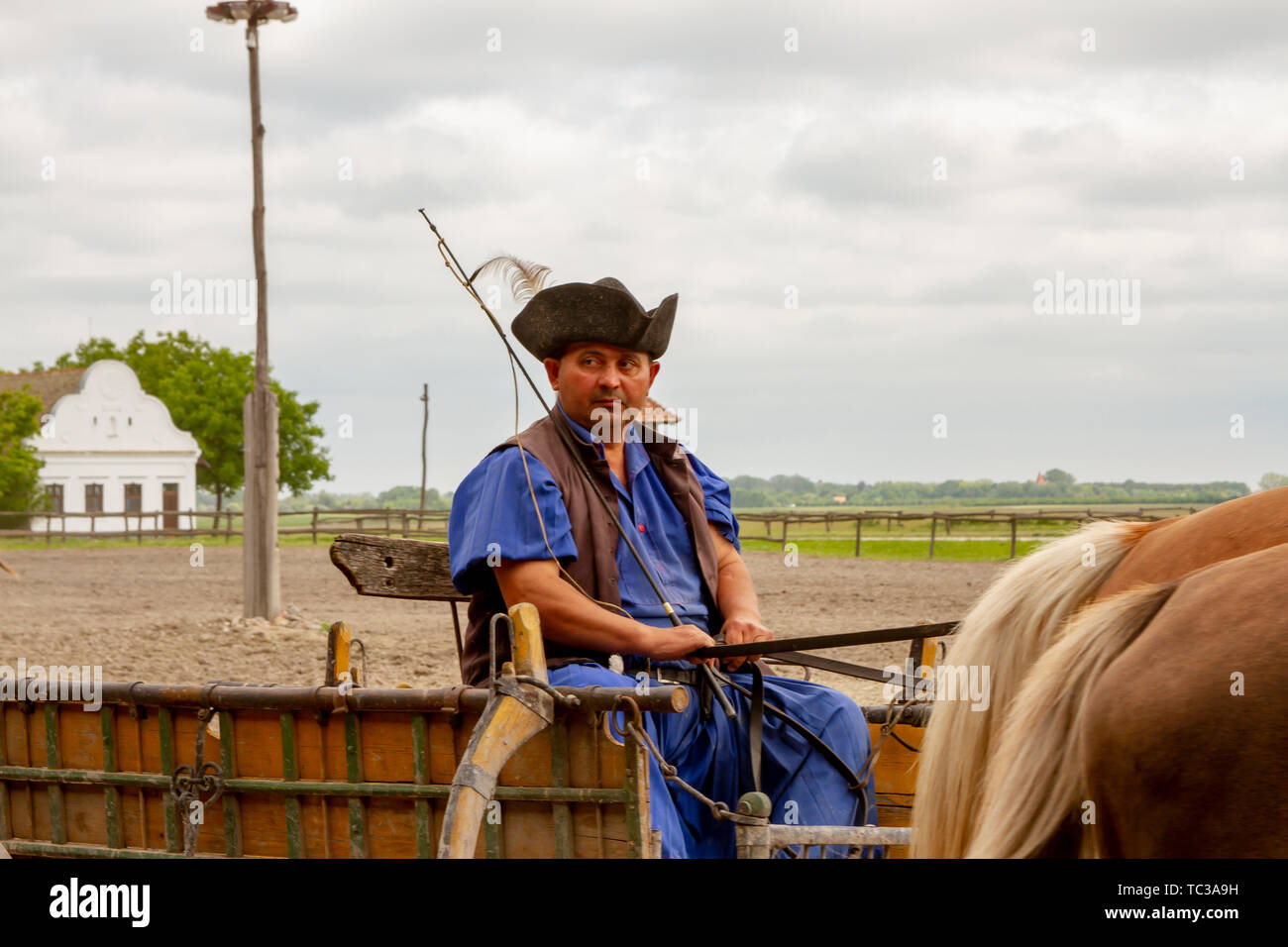 Hungarian csikos horseman in traditional folk costume Stock Photo - Alamy