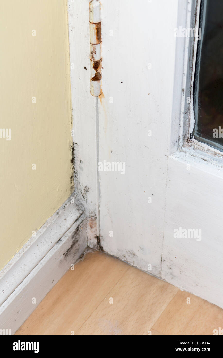 Fungus damp, and rust on the door and the wall in kitchen. Black Humidity Mold on wall Stock Photo