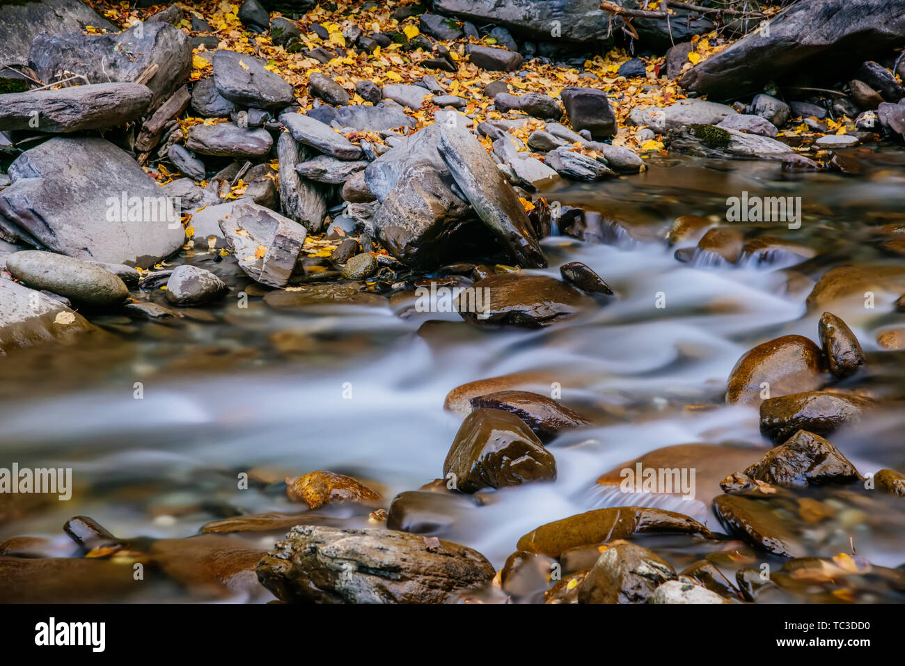 The stream flows through the stones in the forest Stock Photo - Alamy