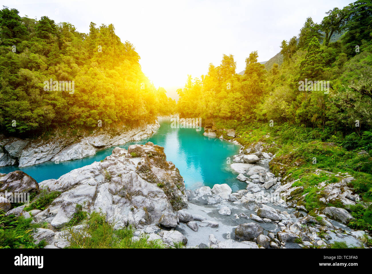 Tranquil lake scene with trees hi-res stock photography and images - Alamy
