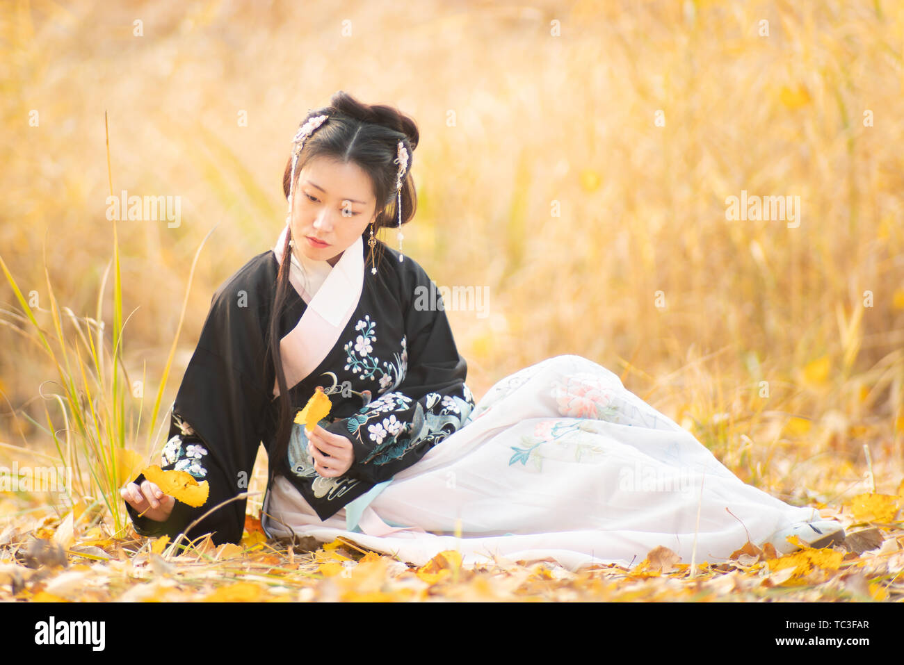Ancient costumes like women's autumn Chinese clothes Stock Photo
