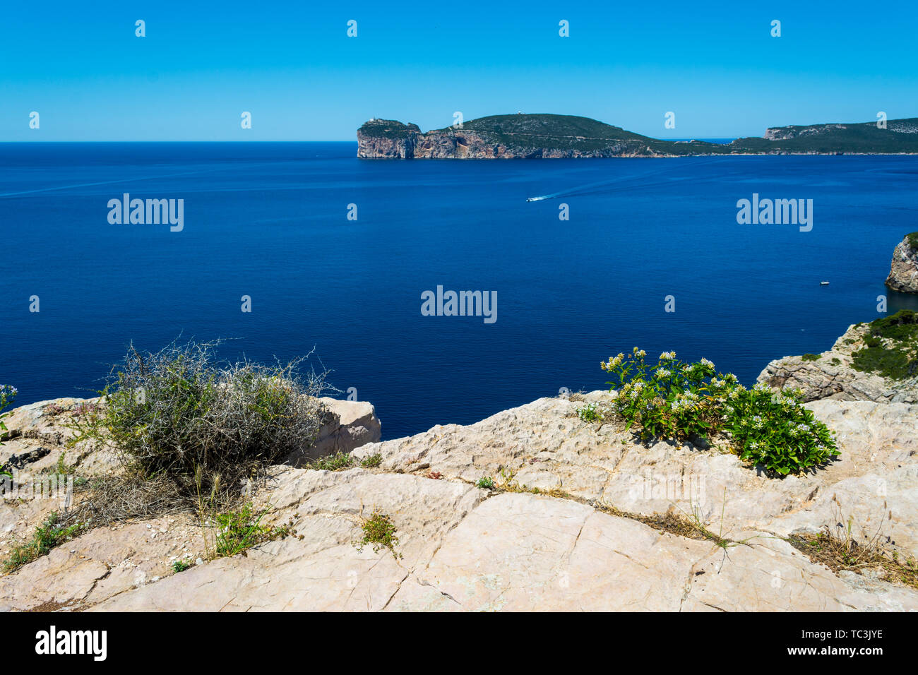 Landscape of the coast of Capo Caccia, in Sardinia, viewed from Punta Giglio Stock Photo