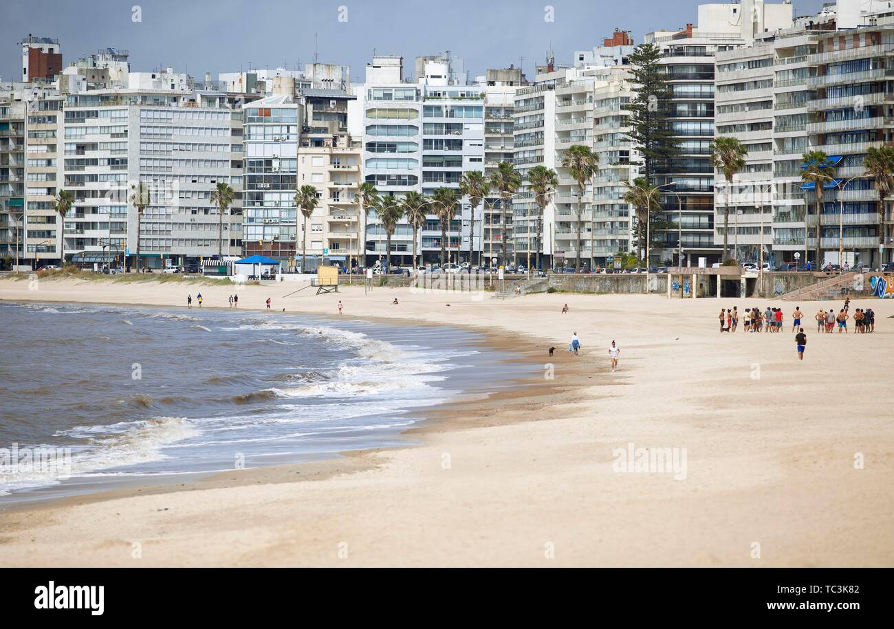 Sandy beach beach Playa Pocitos, city view, Montevideo, province