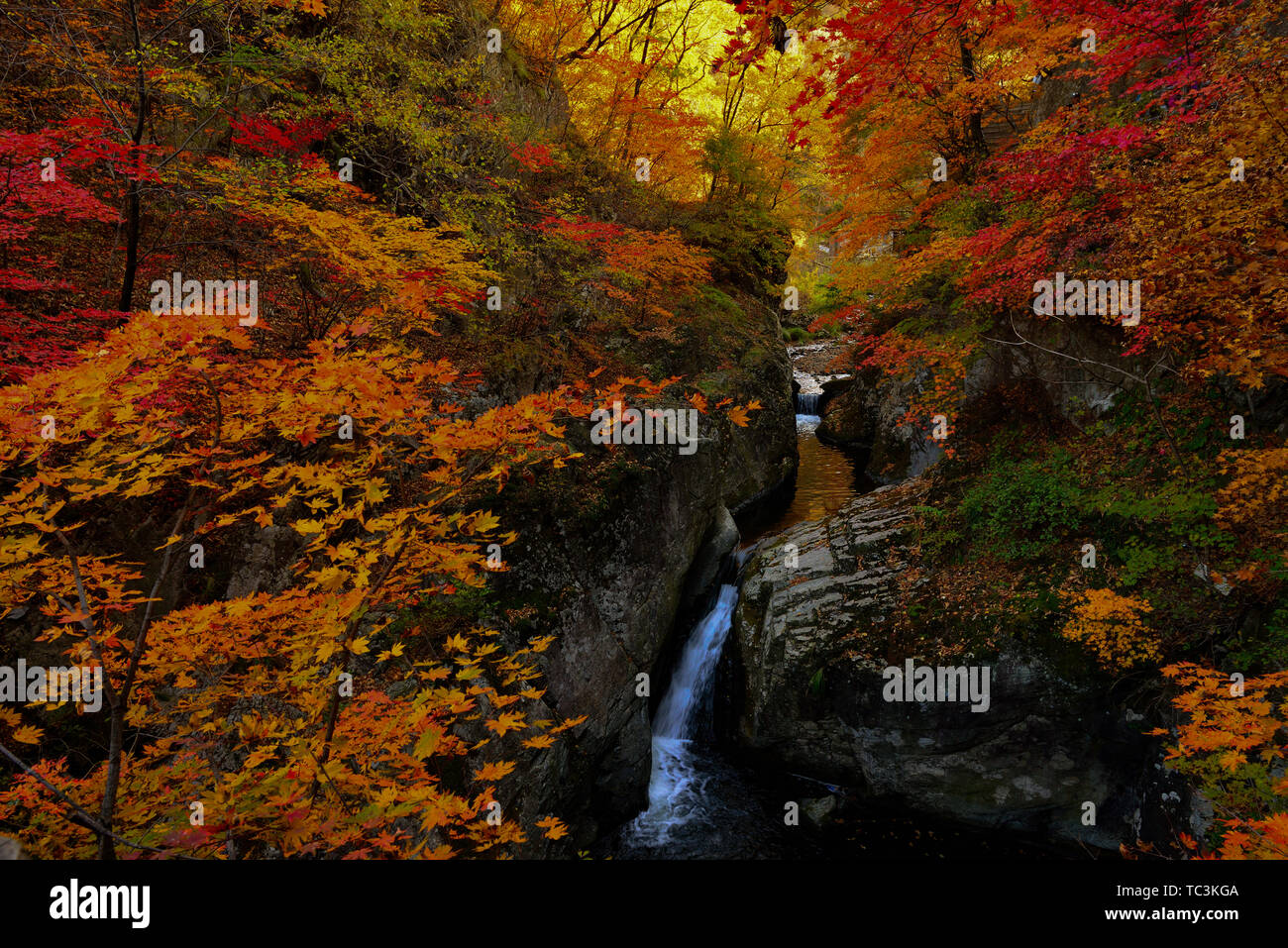 Autumn in the mountains ---Sunset Nikon 16-35 Stock Photo - Alamy