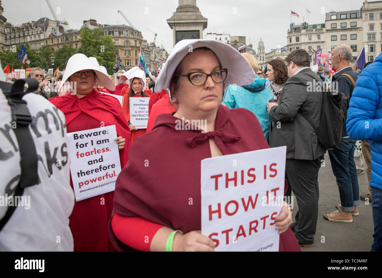 Handmaids tail hires stock photography and images Alamy