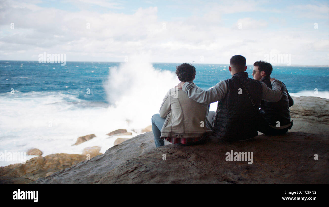 Jonas Brothers visual data 4