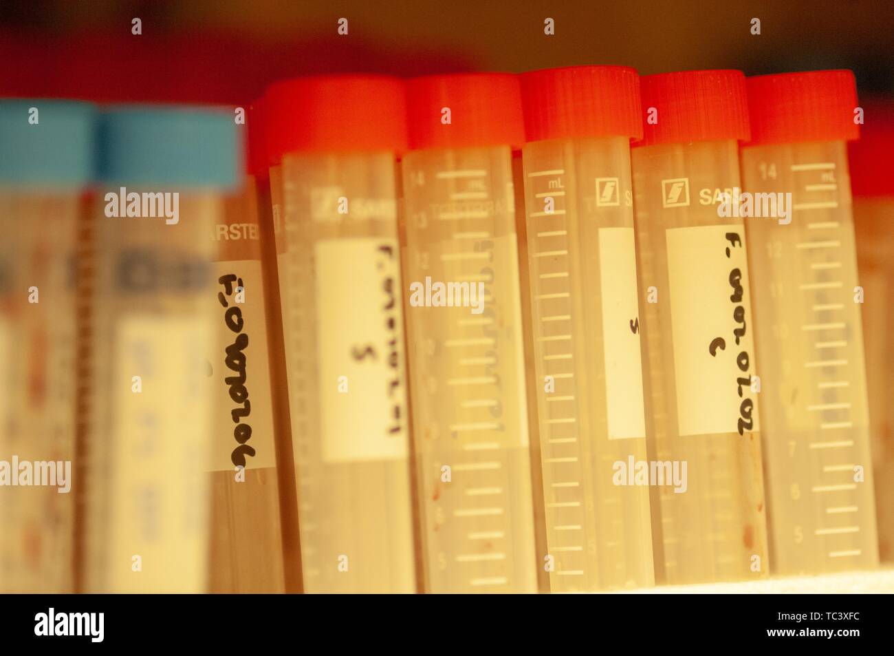 Close-up of marked sample vials in an Earth and Planetary Sciences lab room at the Johns Hopkins University, Baltimore, Maryland, September 28, 2007. From the Homewood Photography Collection. () Stock Photo