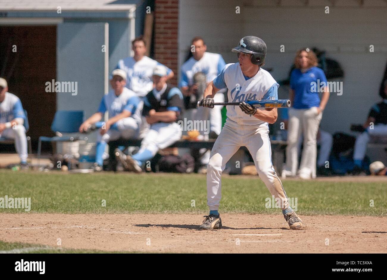 Full length shot of a member of the Johns Hopkins University Blue Jays men's baseball team holding a bat during a game, May 6, 2004. From the Homewood Photography Collection. () Stock Photo