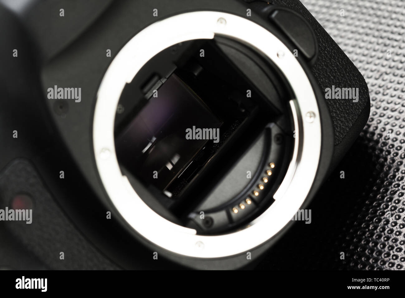 digital SLR camera Stock Photo - Alamy