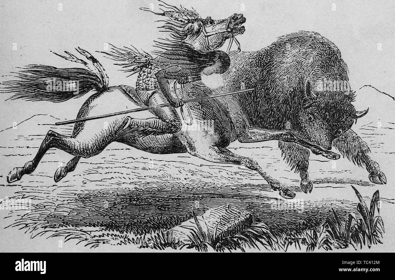 Engraving of an Indian on a horse hunting buffalo, from the book 'Brief history of Texas from its earliest settlement to which is appended the constitution of the state' by De Witt Clinton Baker, 1873. Courtesy Internet Archive. () Stock Photo