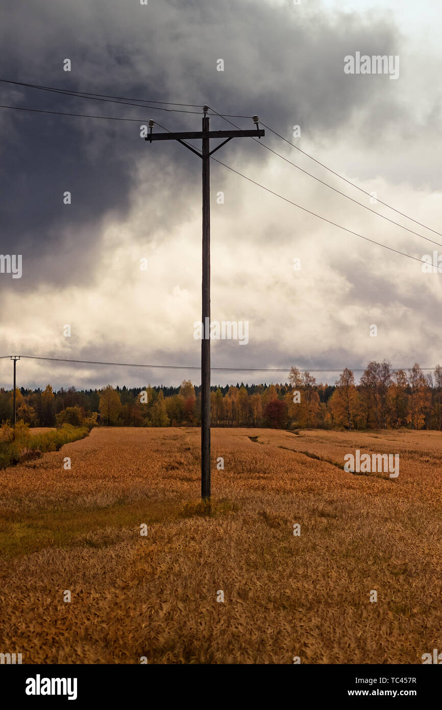 A telephone pole stands in the middle of the autumn fields at the rural