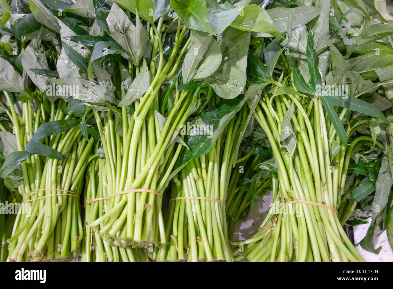 Sweet potato leaves waiting for sale in a wholesale vegetable market