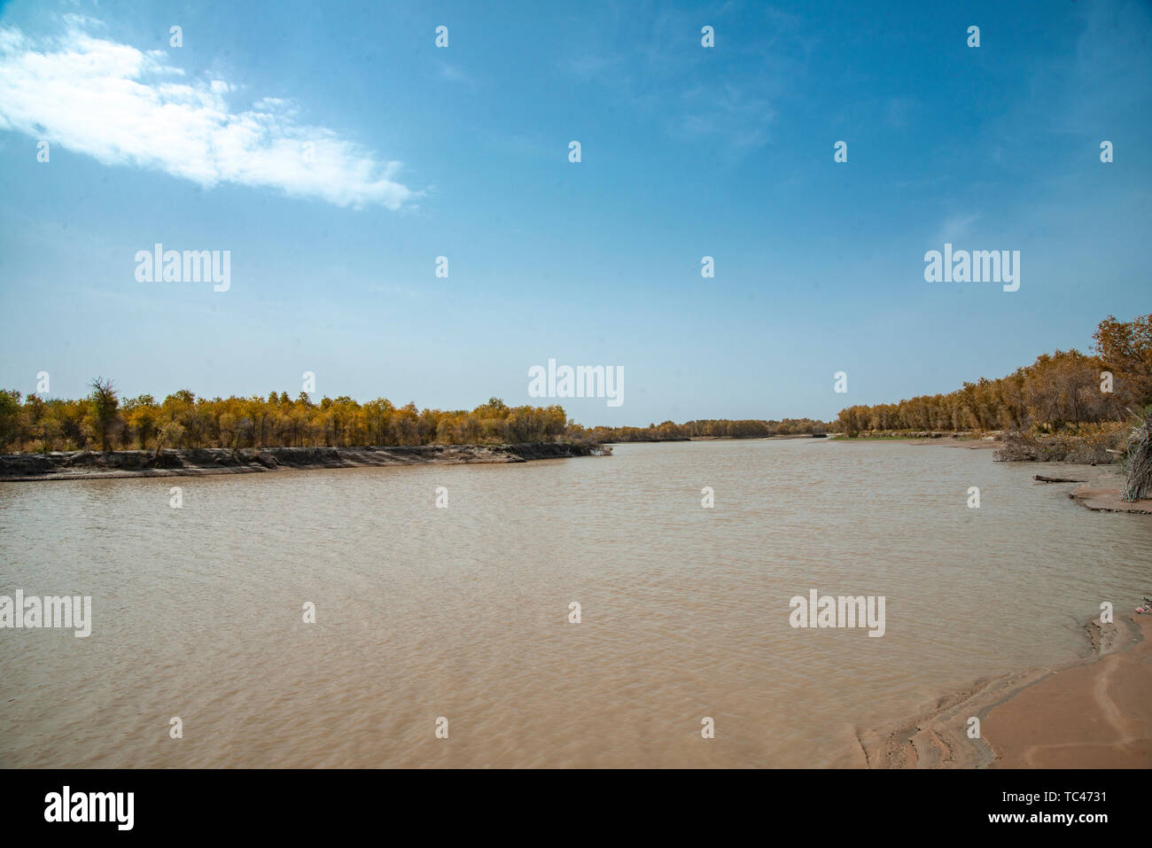 The River In The Desert Stock Photo Alamy