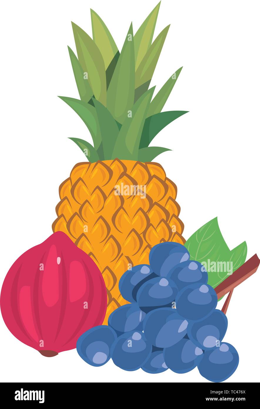 pineapple red onion grapes fresh food vector illustration Stock Vector Image & Art Alamy