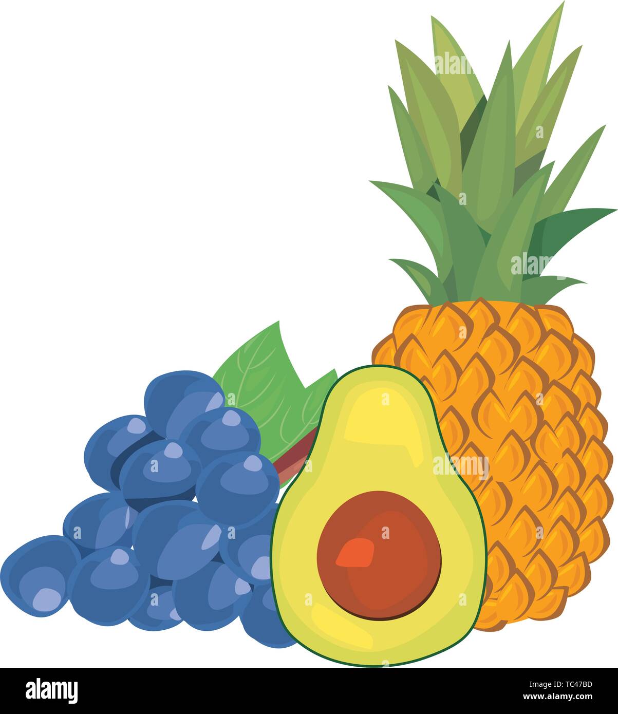 pineapple grapes avocado fresh food vector illustration Stock Vector ...