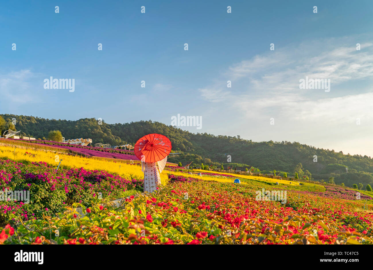 Flower Dance World Stock Photo Alamy