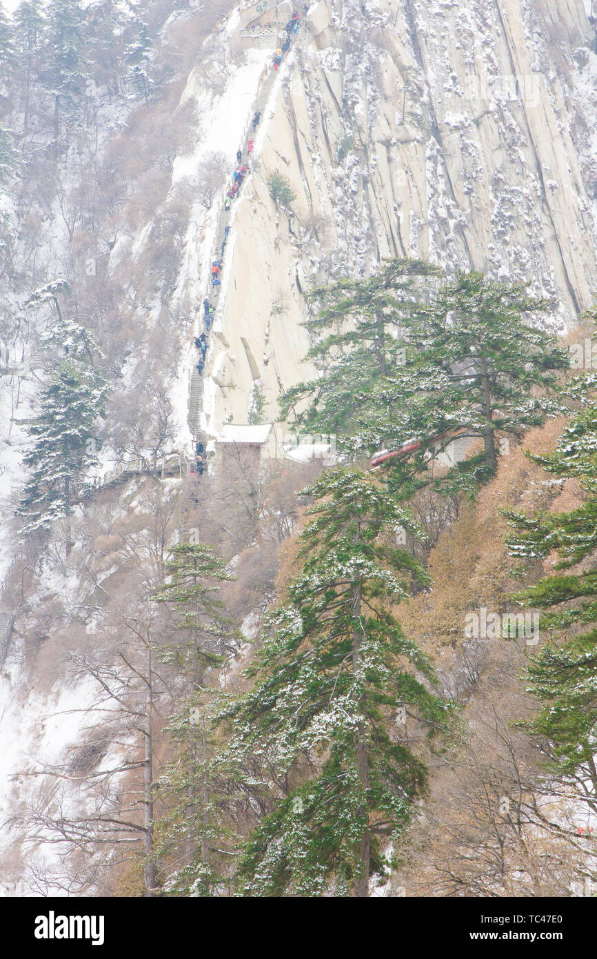 In winter, Huashan scenic spot steep cliffs with pine trees Stock Photo