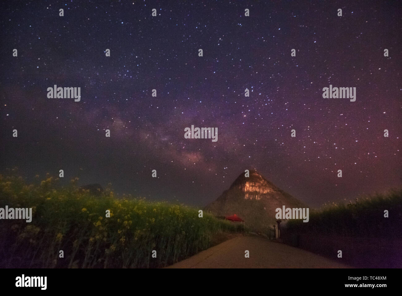 Rapeseed - starry sky Stock Photo
