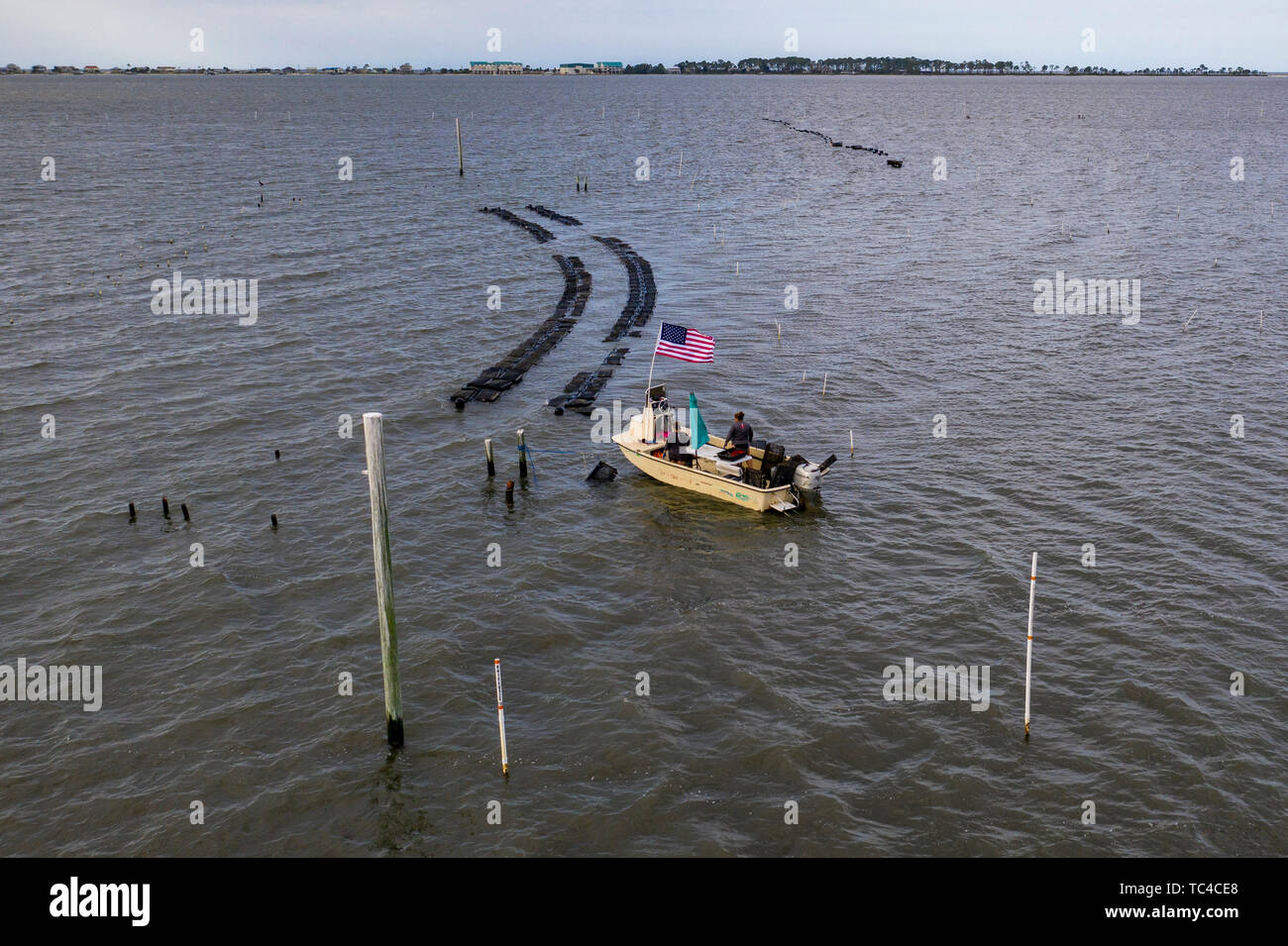 Alligator Point, Florida - An oyster farm in Alligator Harbor, off the Florida panhandle in the Gulf of Mexico. Stock Photo