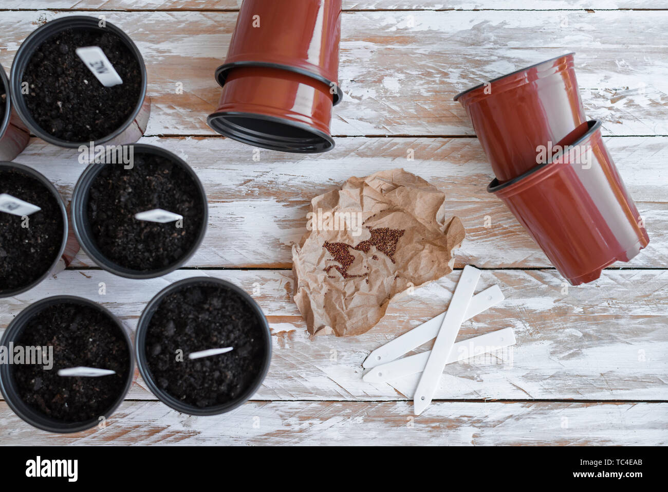 Brown pots with black soil, white labels and seeds of plants on sackcloth background. Stock Photo