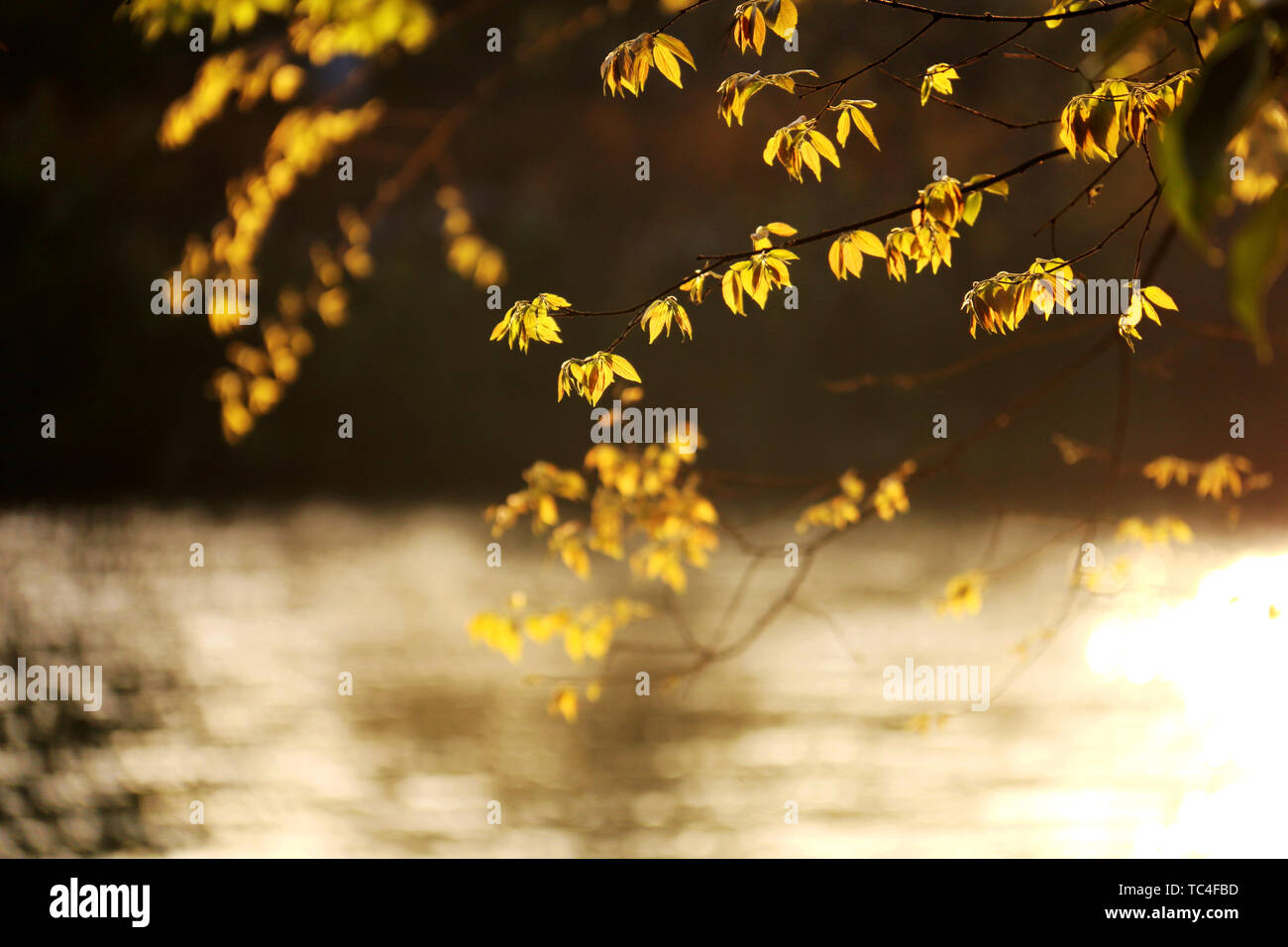 Rivers and sun hi-res stock photography and images - Alamy