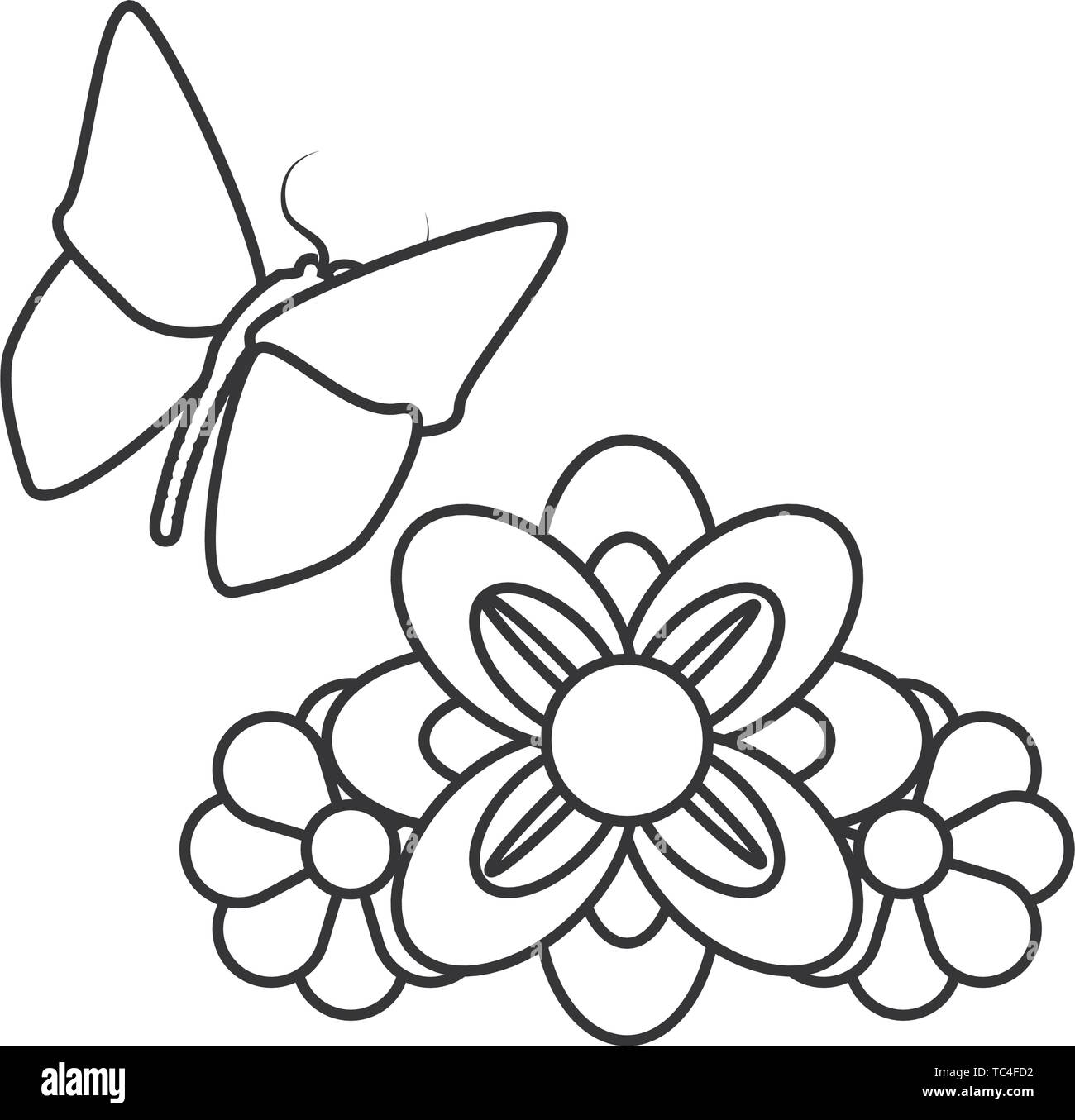Flowers And Butterfly Black And White Stock Photos Images Alamy Flowers And Butterfly Black And White Stock Photos Images Alamy