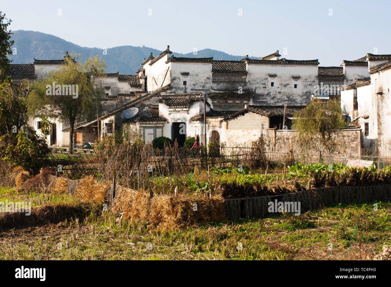 Traditional Chinese residential houses Stock Photo - Alamy