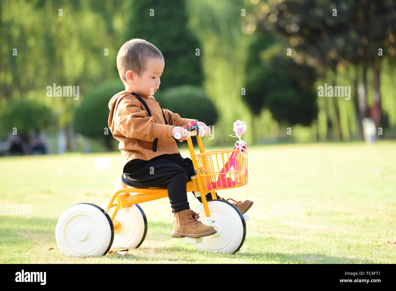 Little boy riding a tricycle Stock Photo Alamy