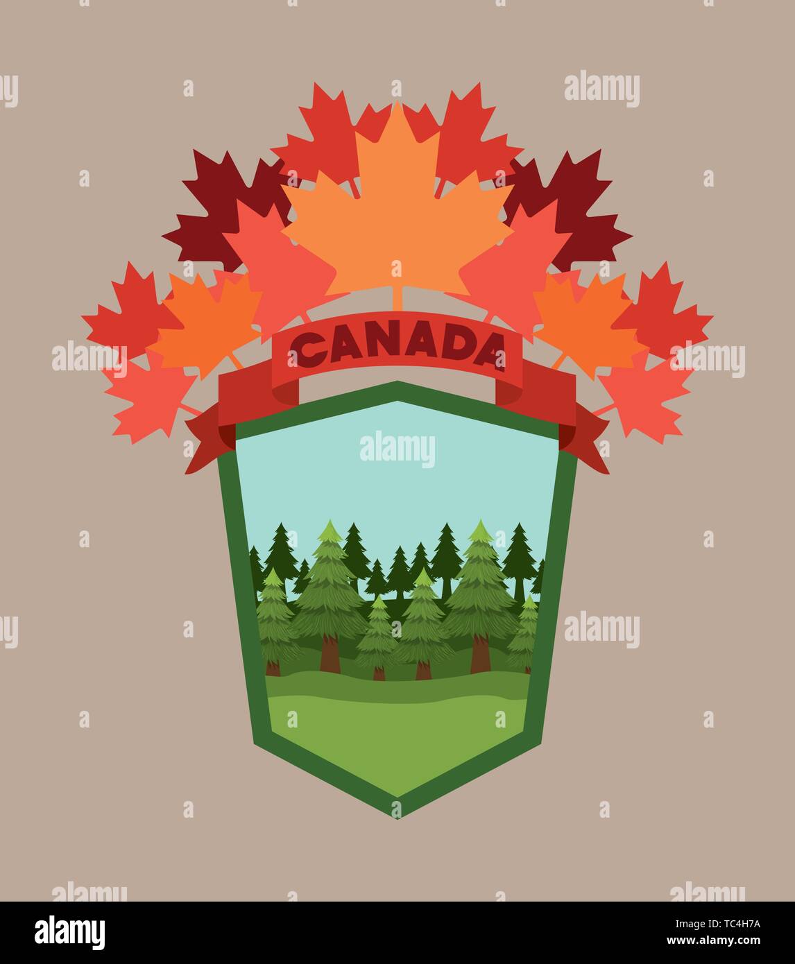 Canada symbol and maple leaf design Stock Vector Image & Art Alamy