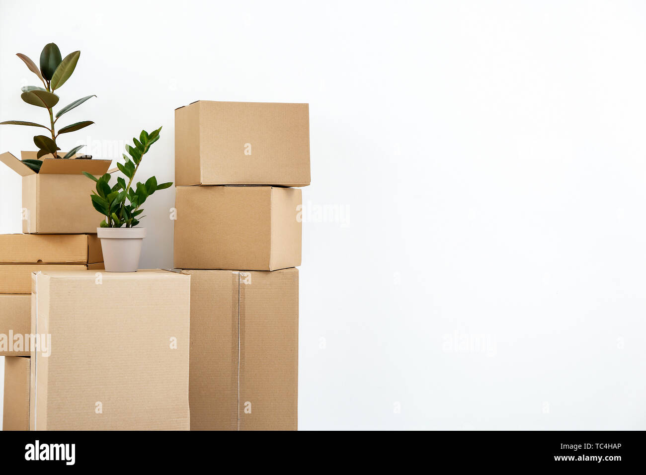 Moving Boxes In House