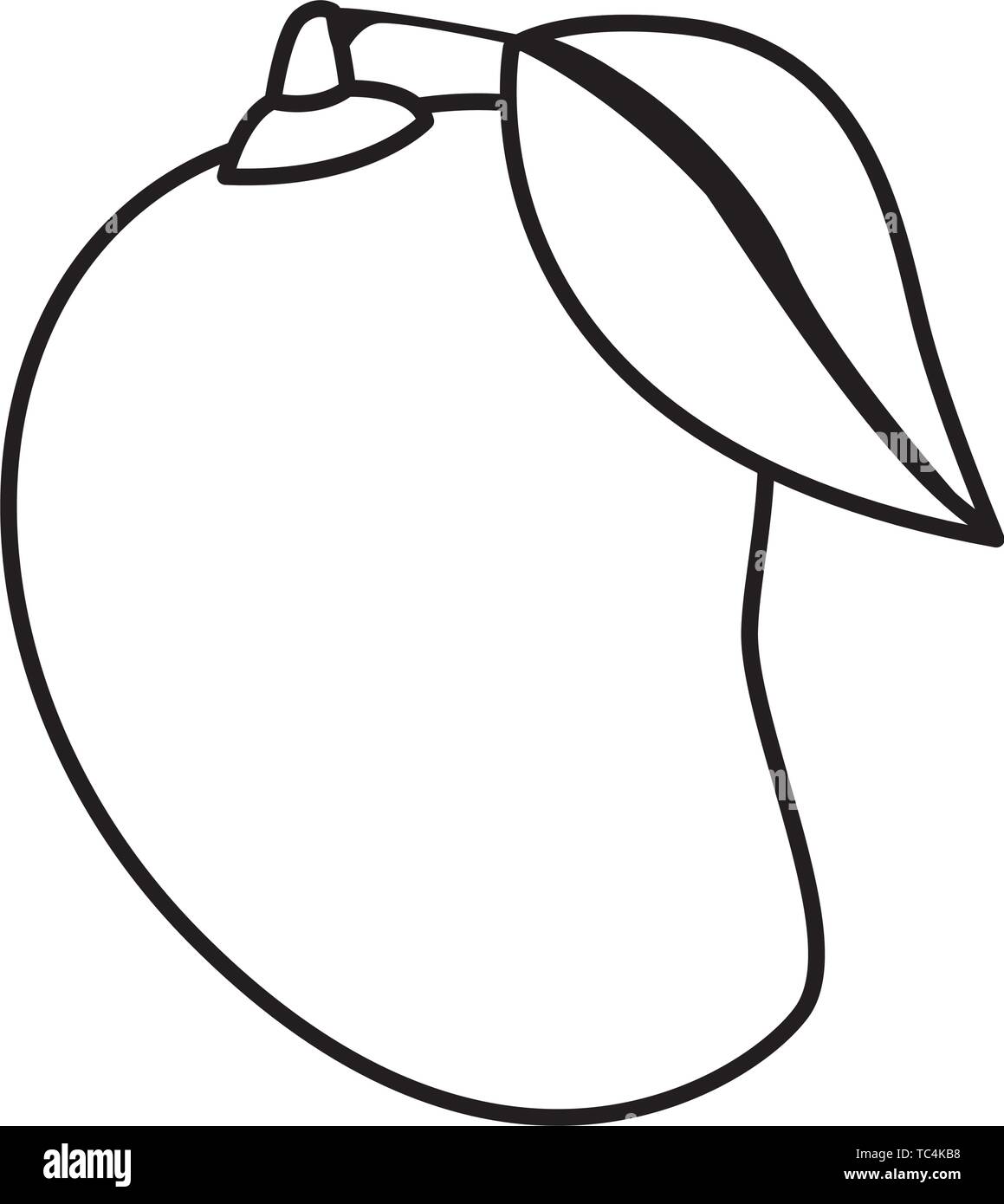 mango fruit clipart black and white