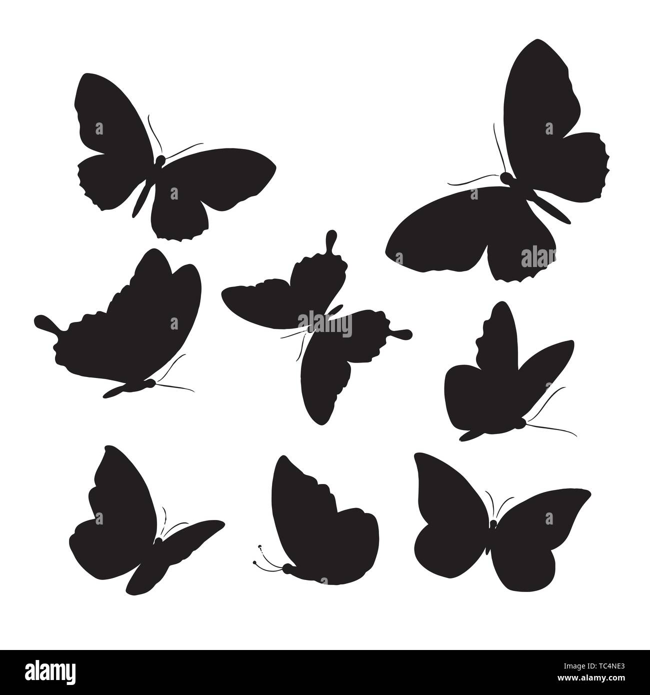 Set of butterflies, isolated on white, collection of silhouettes, EPS 8