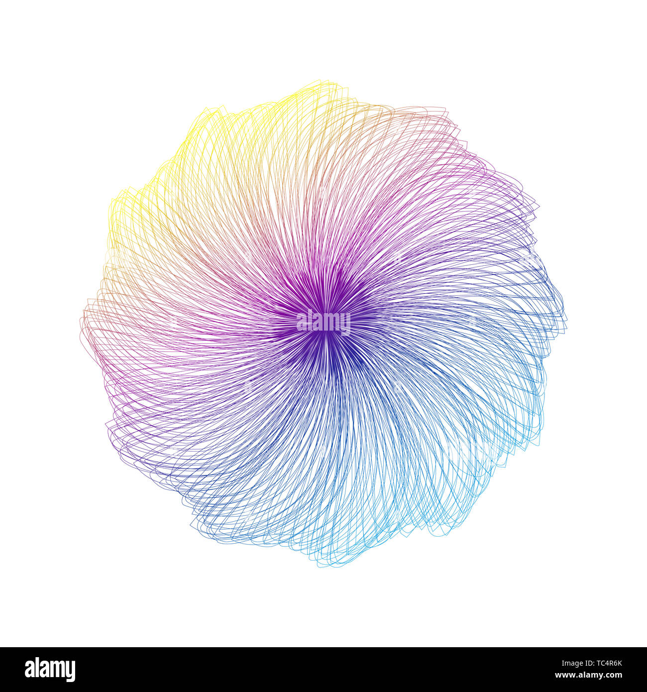 Color line contour petals abstract graphics Stock Photo - Alamy