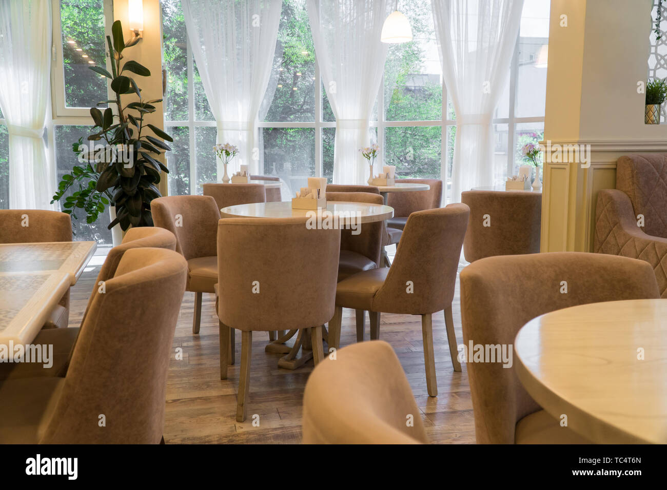 modern restaurant interior with windows and flowers. cafe room illuminated by sunlight Stock Photo