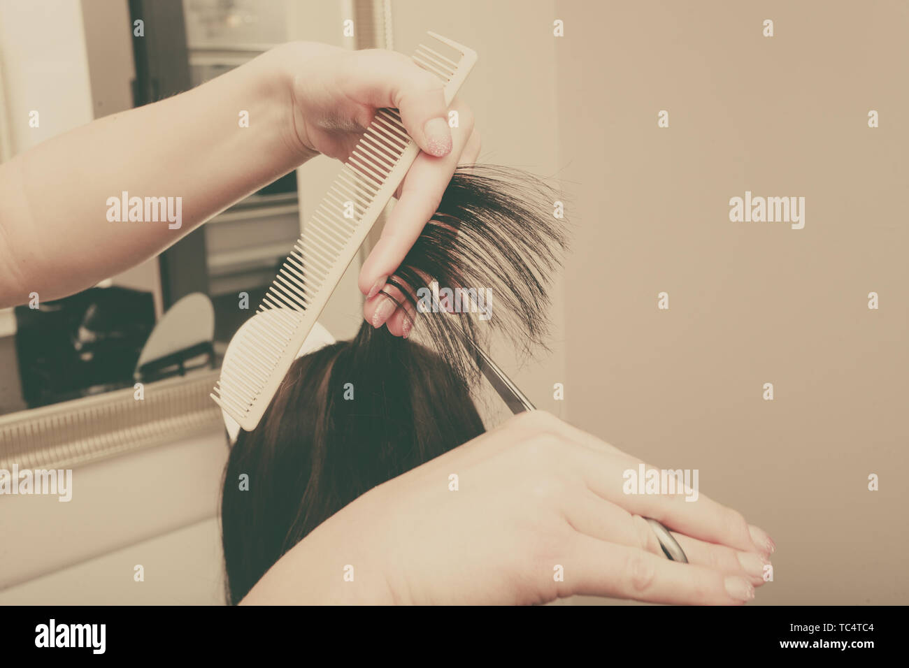 Hairdresser cutting dark hair using professional scissors, taking care