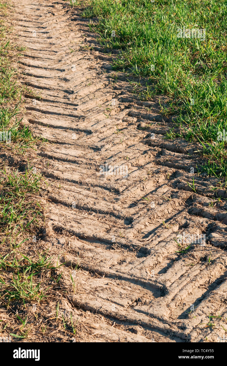 the trace of the tractor, dry soil in the field Stock Photo