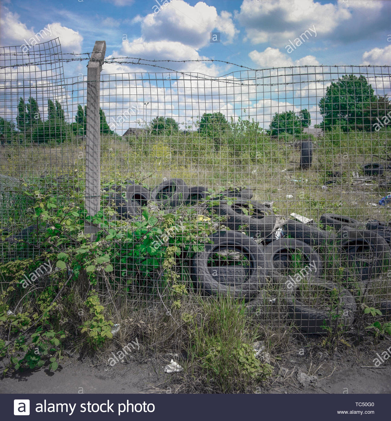 Weeds Waste Ground Stock Photos & Weeds Waste Ground Stock Images Alamy