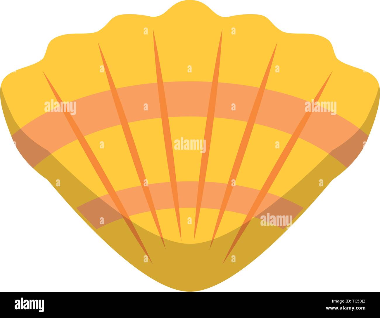 Shell sea molusk cartoon isolated symbol Stock Vector Image & Art - Alamy